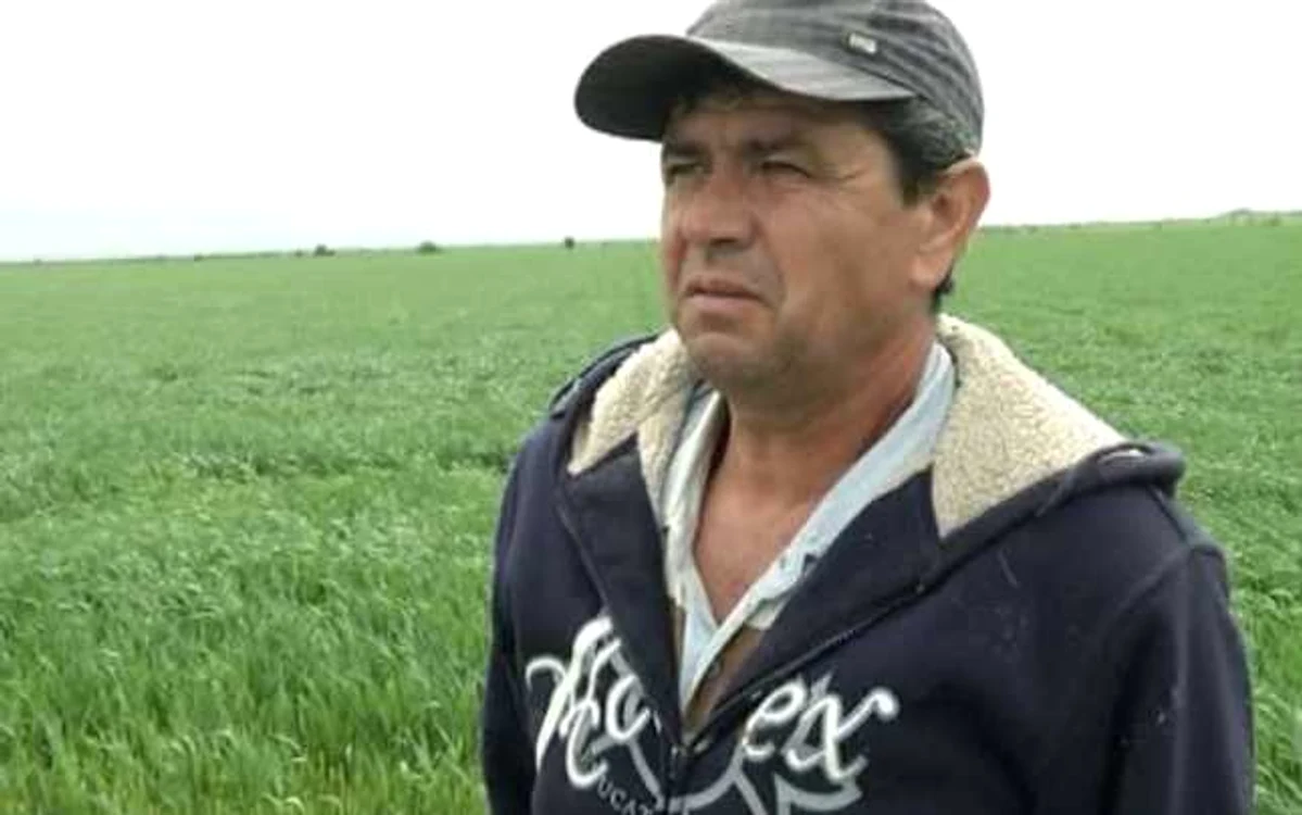 Ciobanii susţin că este vorba de o răzbunare, iar animalele au fost omorâte intenţionat