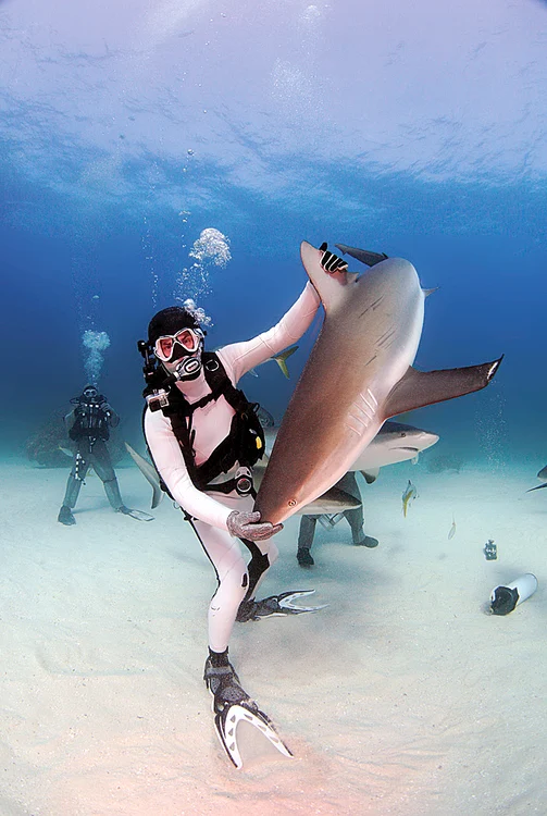 Rechinii se bucură  de relaxare  circa 15 minute