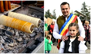 Primarul Cătălin Cherecheș (sursa foto Pixabay & Facebook/ colaj Click!)