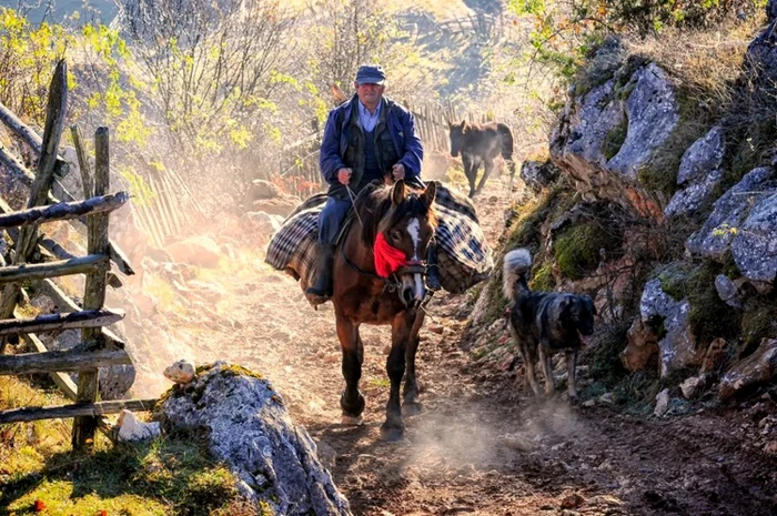 fundatura ponorului toamna foto claudiu nelega