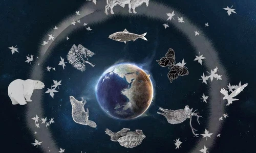 1 74641 original jpg jpeg