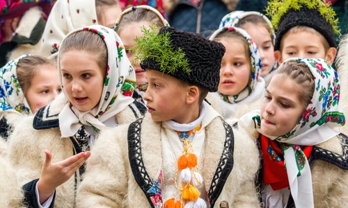 1 shutterstock 792619138 jpg jpeg