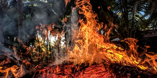 incendiu de padure foto pexels jpeg