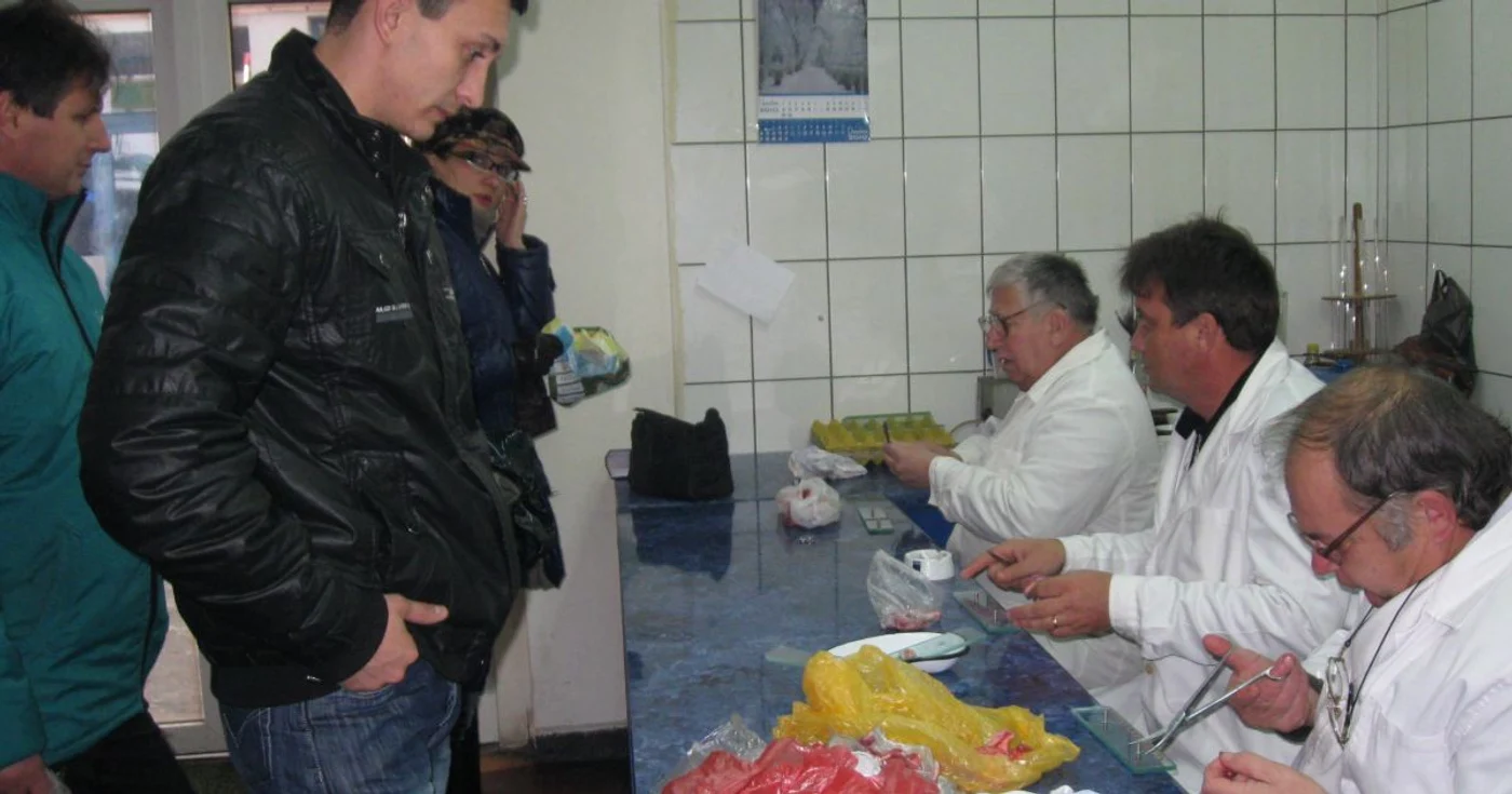 Târgu-Jiu: Medicii veterinari de la centrul de stat din Piaţa Centrală controlează carnea adusă de gorjeni