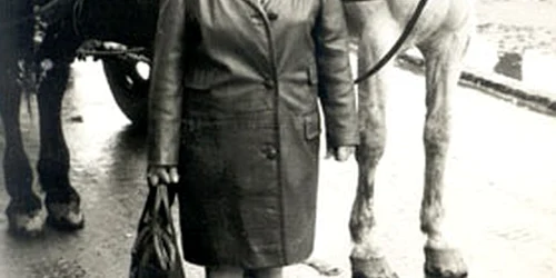 salamon golda