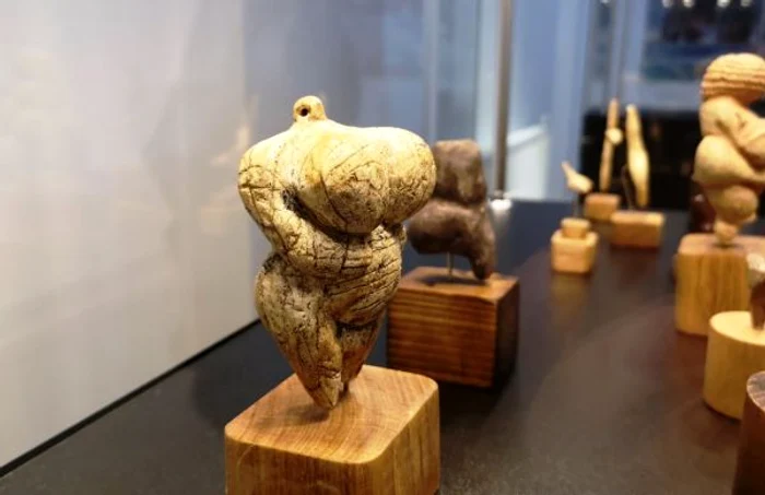 expozitie melci targoviste