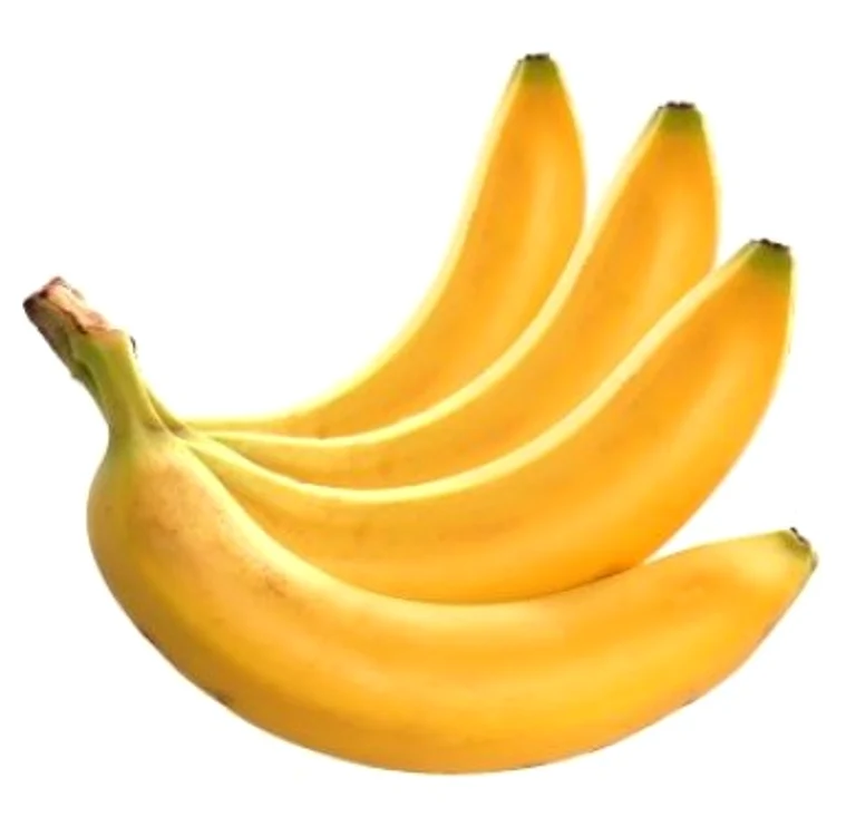 2 jpg jpeg