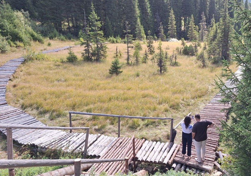 Cum renaște Turbăria Lăptici din Bucegi, una din cele 14 rezervații de pe teritoriul Parcului Natural FOTO