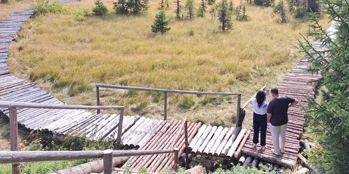 Turbăria Lăptici. FOTO Romsilva - Administrația Parcului Natural Bucegi