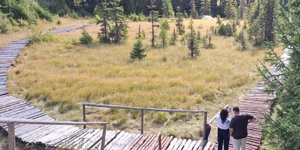Turbăria Lăptici. FOTO Romsilva - Administrația Parcului Natural Bucegi
