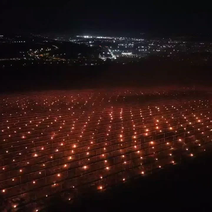 „Am dat foc la 40.000 de euro”. Lupta contracronometru într-o livadă din Cluj, unde 4.000 de lumânări au fost aprinse pentru a salva cireșii de îngheț