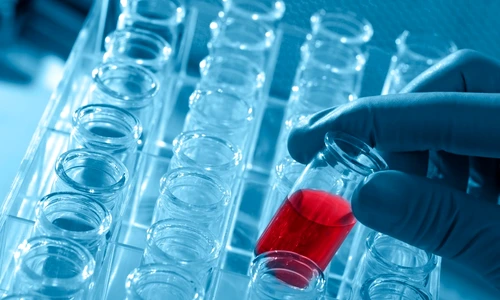 1 73473 original jpg jpeg