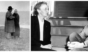 BeFunky collage 2025 11 17T231717 733 jpg