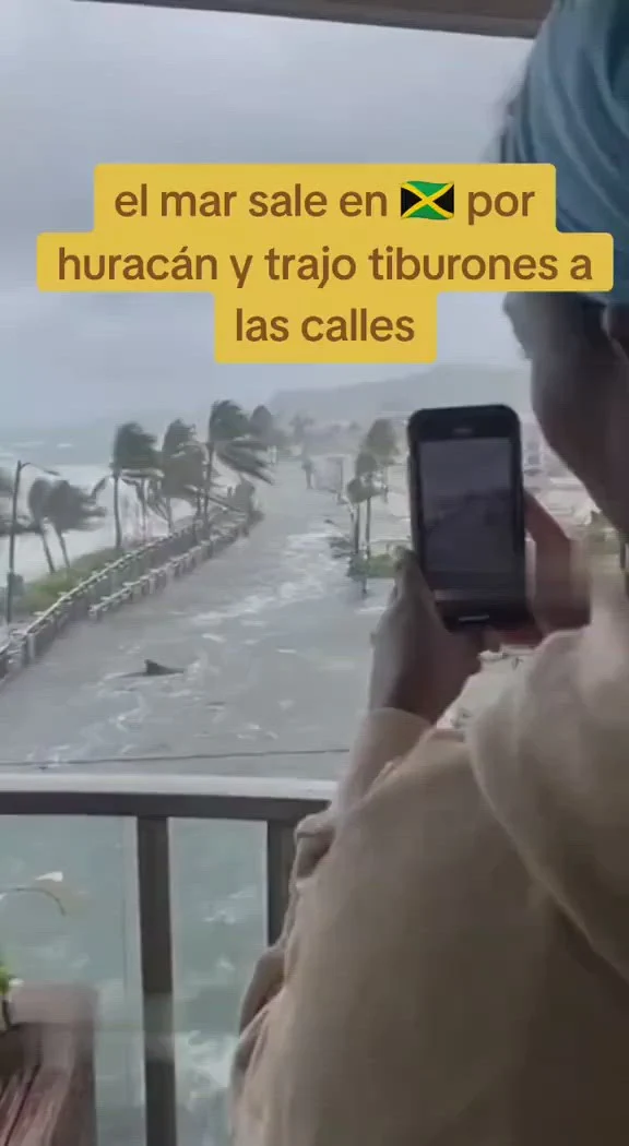 Videoclipuri false cu rechini în zonele afectate de uraganul Melissa circulă pe rețele sociale și induc în eroare utilizatorii