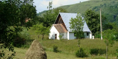 valea larga salciua