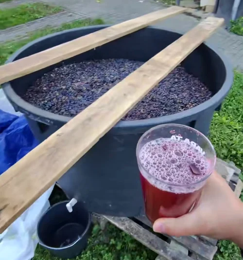 Un pahar de must, plăcerea toamnei 