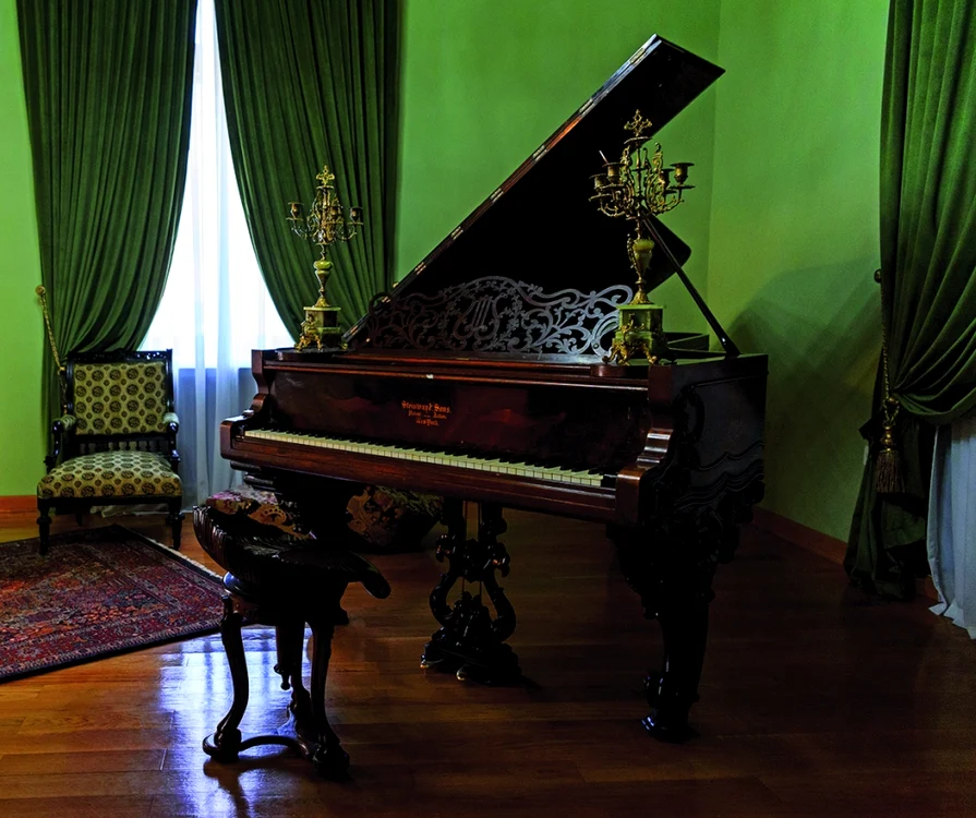 Muzeul „Vasile Pogor” din Iași, interior (foto: Alex Calance)