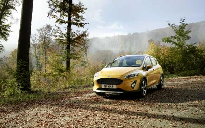 ford fiesta active