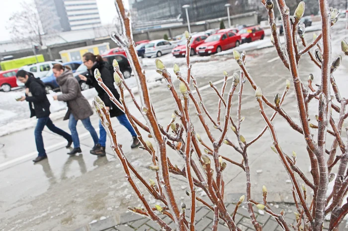 Pe şosele s-a format polei