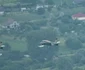 flori avion