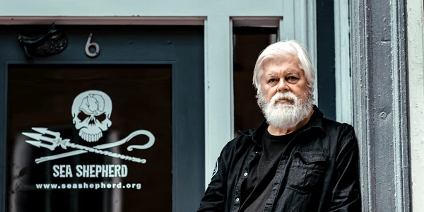 Activistul Paul Watson riscă până la 15 ani de închisoare FOTO @CaptPaulWatson / X 