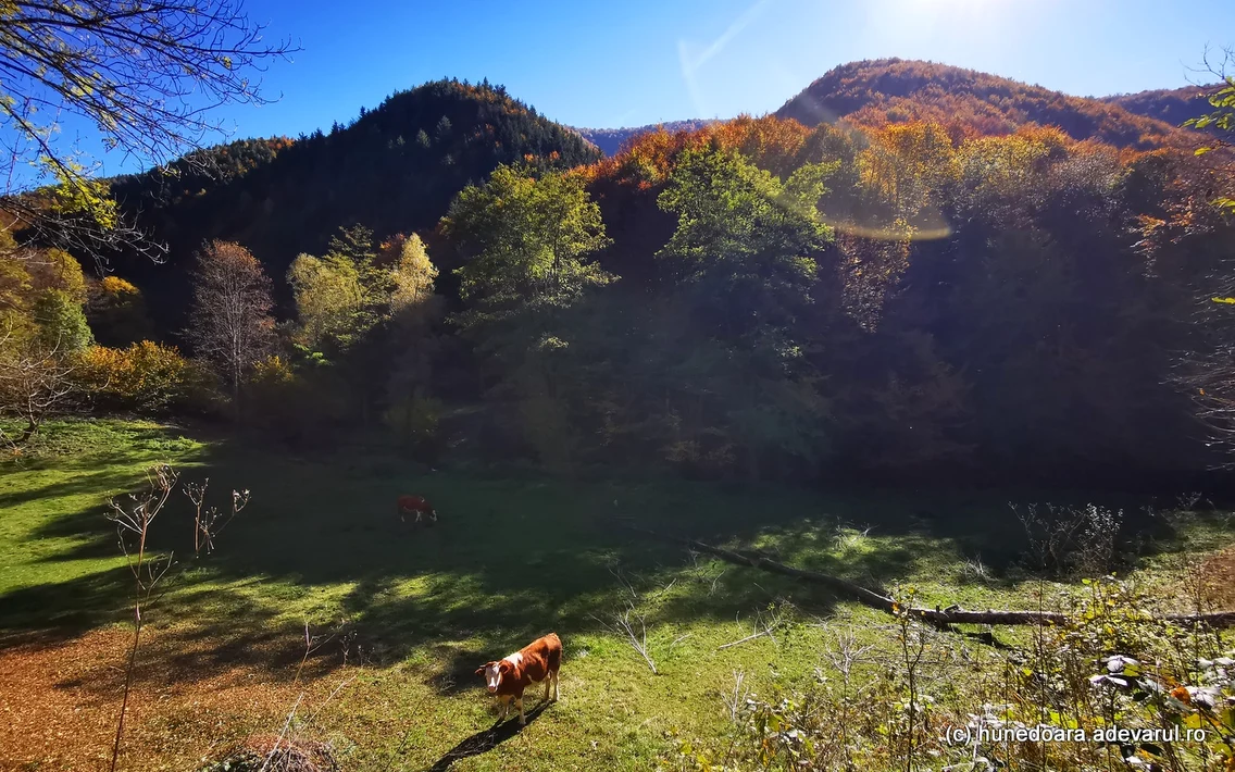 Platoul Vârtoapelor și Valea Rea   Foto Daniel Guță (9) jpg