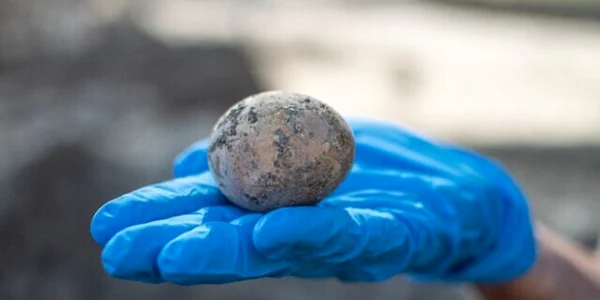 ou 1000 de ani  (Yoli Schwartz/Israel Antiquities Authority)