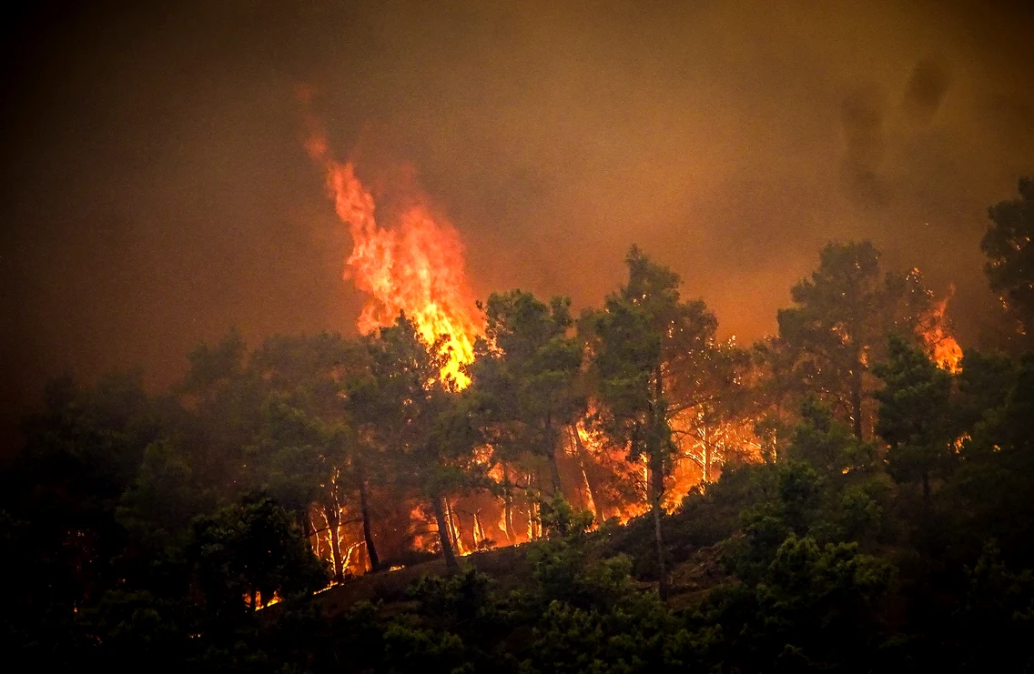 Incendiile fac ravagii de-a lungul insulei Rodos / foto: Profimedia