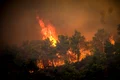 Incendii pe insula Rodos și evacuare turiști FOTO Profimedia (4) jpg