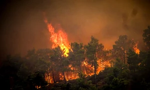 Incendii pe insula Rodos și evacuare turiști FOTO Profimedia (4) jpg