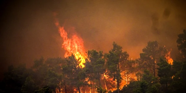 Incendii pe insula Rodos și evacuare turiști FOTO Profimedia (4) jpg