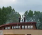 foc
