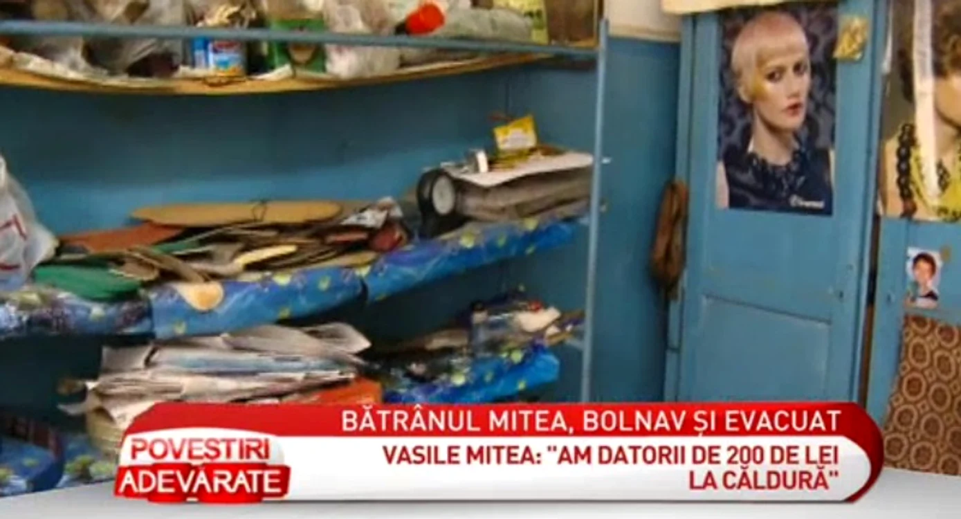Nicolae Mitea