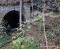 Traseul Mocănițelor Hunedoara Govajdia Foto Daniel Guță ADEVĂRUL (50) JPG