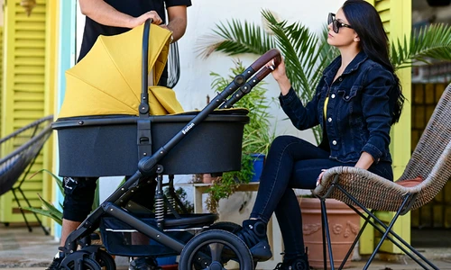 carucior lorelli 12 png