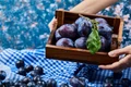 Prune  Foto Freepik com jpg