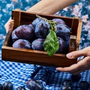 Prune  Foto Freepik com jpg