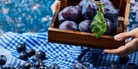 Prune  Foto Freepik com jpg