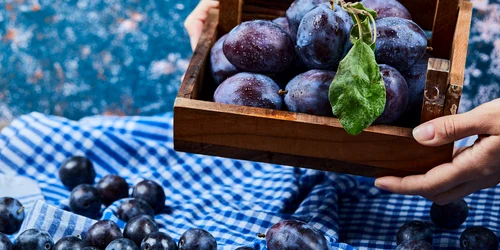 Prune  Foto Freepik com jpg