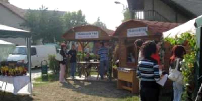Târgu-Mureş: Vin cu gust de căpşuni în Cetatea Medievală