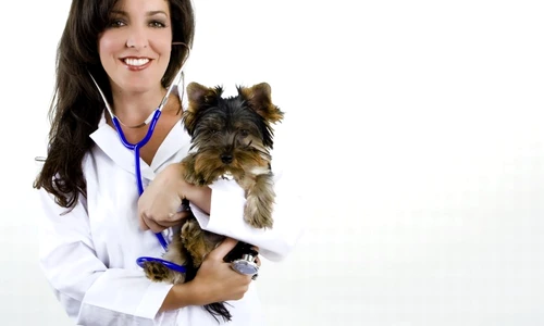 1 71014 original jpg jpeg