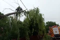 Vijelie Hunedoara 02, foto ISU Hunedoara
