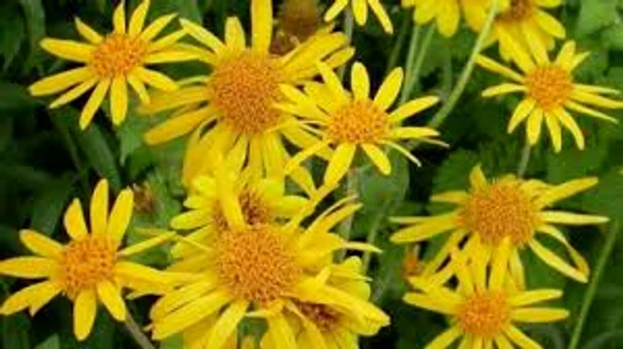 Fiți optimiști! Modul în care gândiți ne afectează direct dispoziția sufleteascăSursa foto: Adevărul.ro