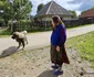 satul batrana din Hunedoara  Foto Daniel Guță (31) jpg