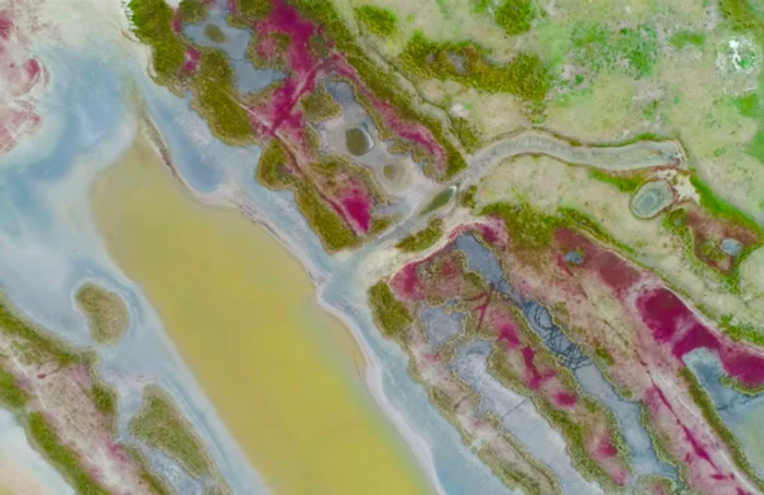 Dobrogea şi coloritul ei fantastic din Delta Dunării Sursa Youtube / Mircea Bezergheanu