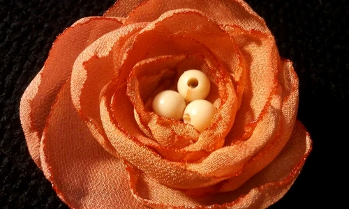 1 56090 original jpg jpeg