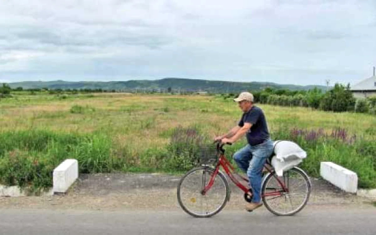 Multe dintre podeţe au fost montate către câmp  Foto: Iulian Bunilă
