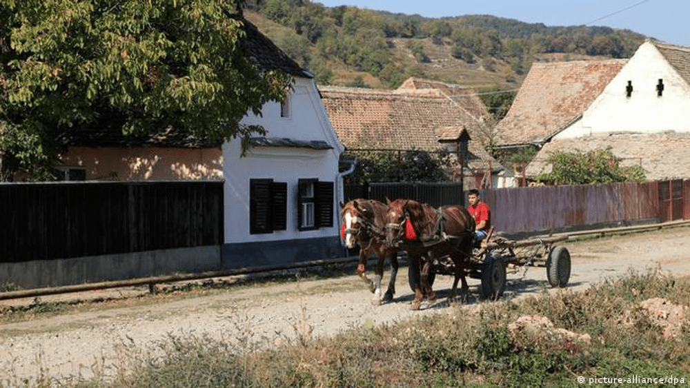 Alba-neagra cu bursele sociale pentru elevi