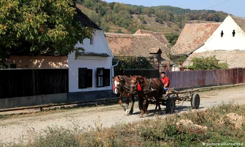 rural