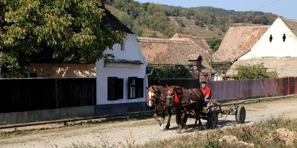 rural